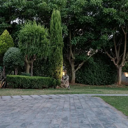 7 Villa *